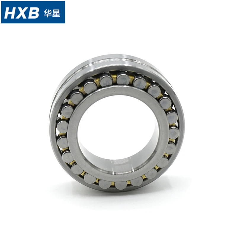Double Row Precision Cylindrical Roller Bearings