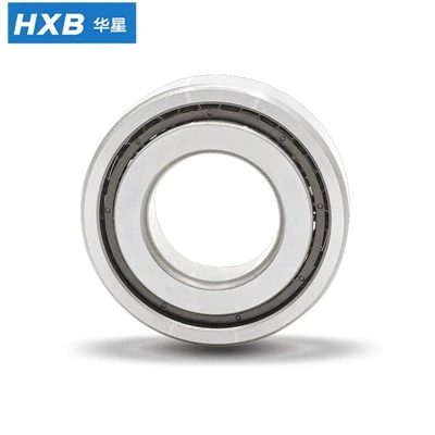 Ball Screw Support Bearing 7602030TVP