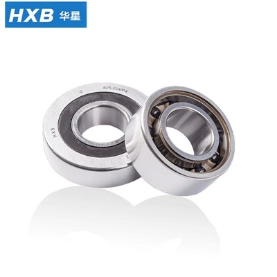 Servo Motor Bearing B25-224
